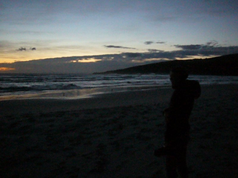 Travel - New Zealand - Sandfly Bay, Dunedin